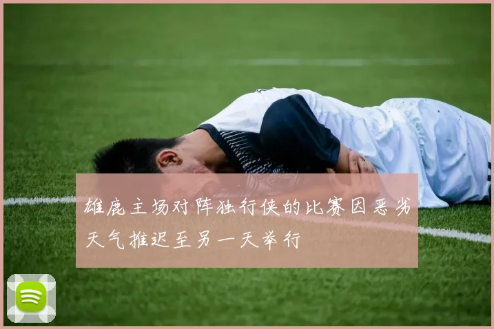 雄鹿主场对阵独行侠的比赛因恶劣天气推迟至另一天举行